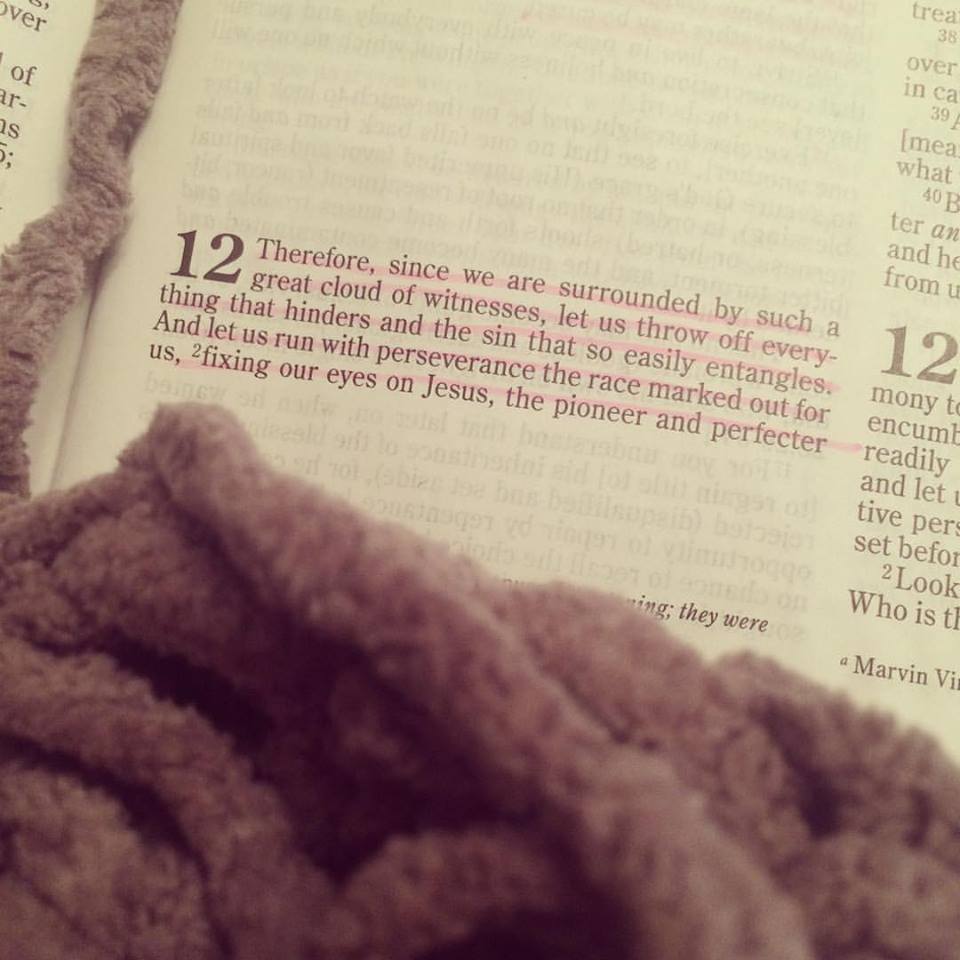 12494827_10153197879566930_16744251871213052_n