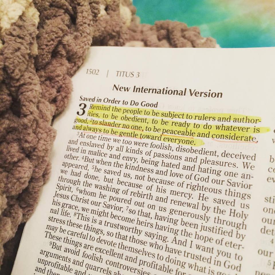 12509592_10153199751086930_8482585233448174318_n