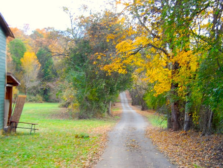 Let’s Talk About Weakness… {More Than Fine}