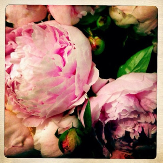 tumblr_m62wozlK2e1r9z1mpo1_1280