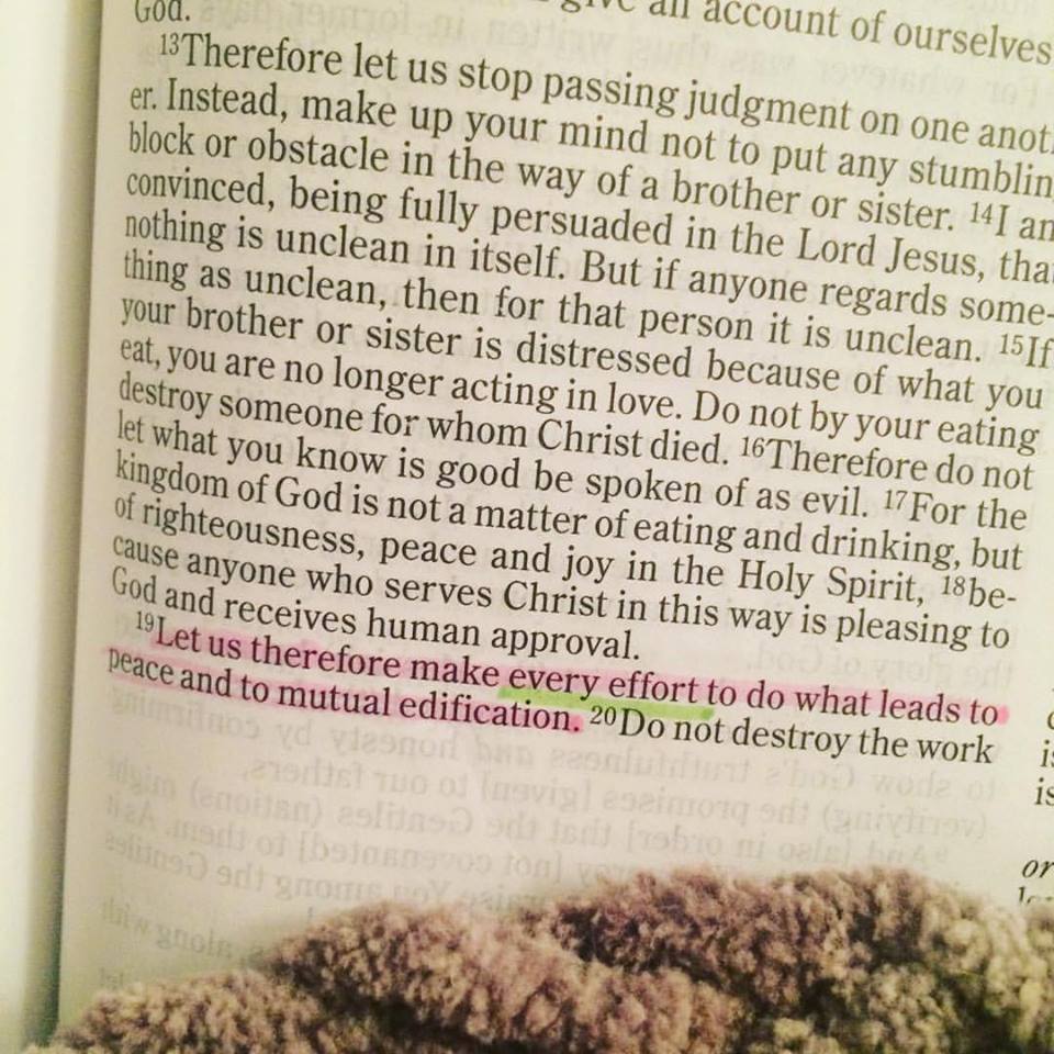 12507113_10153194511101930_7390822278780017250_n