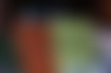 Reflecting with the Little Brown Journal