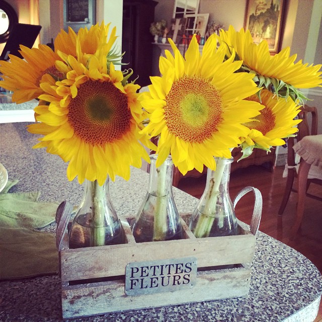 1964880_10152303412841930_907218289079579071_n