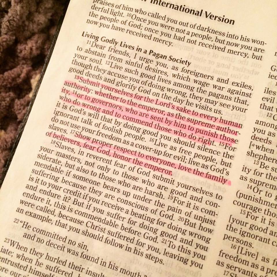 936594_10153182280106930_8059394217063496875_n