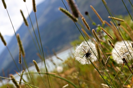 "Give Me Just One Minute..."