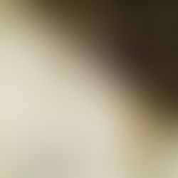 31 Days of Praying Over Your Children – Honesty & Integrity