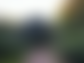 Der Hexenwald von Rügen – Ein magischer Ort für die ganze Familie