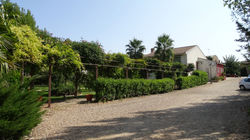 DSC01330