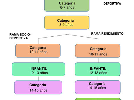 ESTRUCTURA DEL CLUB POR CATEGORÍAS