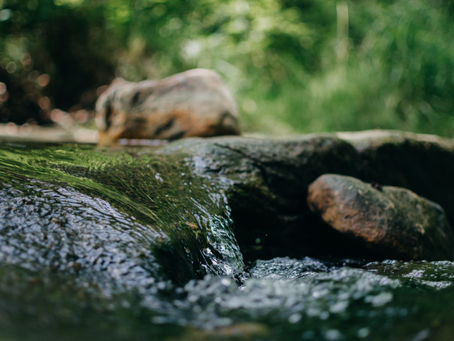 Retirees, Here's What to Consider When Buying an Annuity