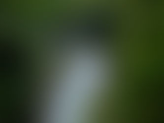 How 12 Types of Retirement Income Get Taxed