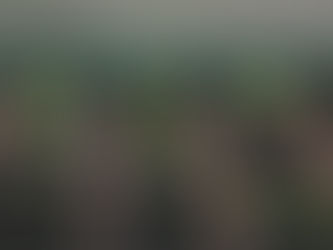 Value vs Growth Stocks