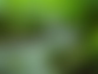 How to Create a Retirement Income Stream