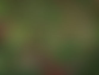 Should Equity Investors Worry About September?