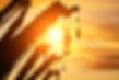 AdobeStock_580918771.jpeg