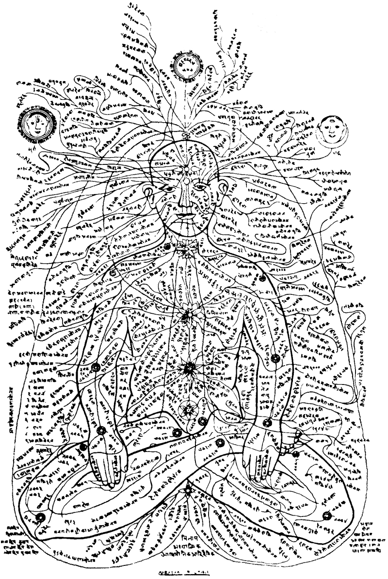 nadi chart.gif