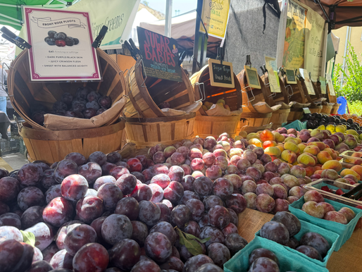 Food Price to Climate Change