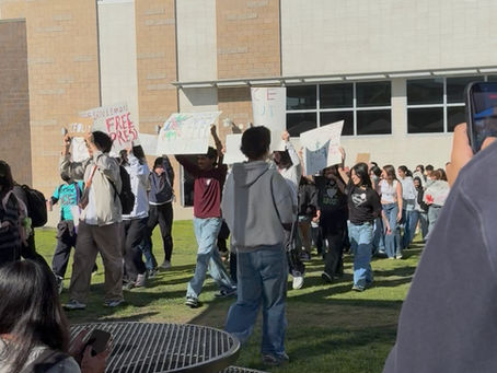 The Human Cost of Trump’s Visa War on Education