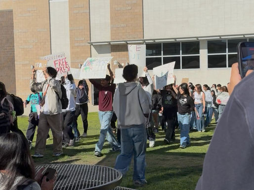 The Human Cost of Trump’s Visa War on Education