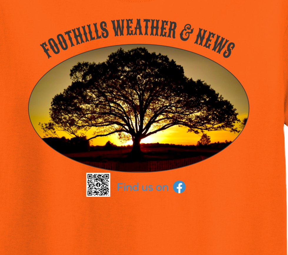 Thumbnail: Foothills Weather & News - Tree Sunrise  Shirt Selection
