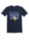 North Wilkes Vikings