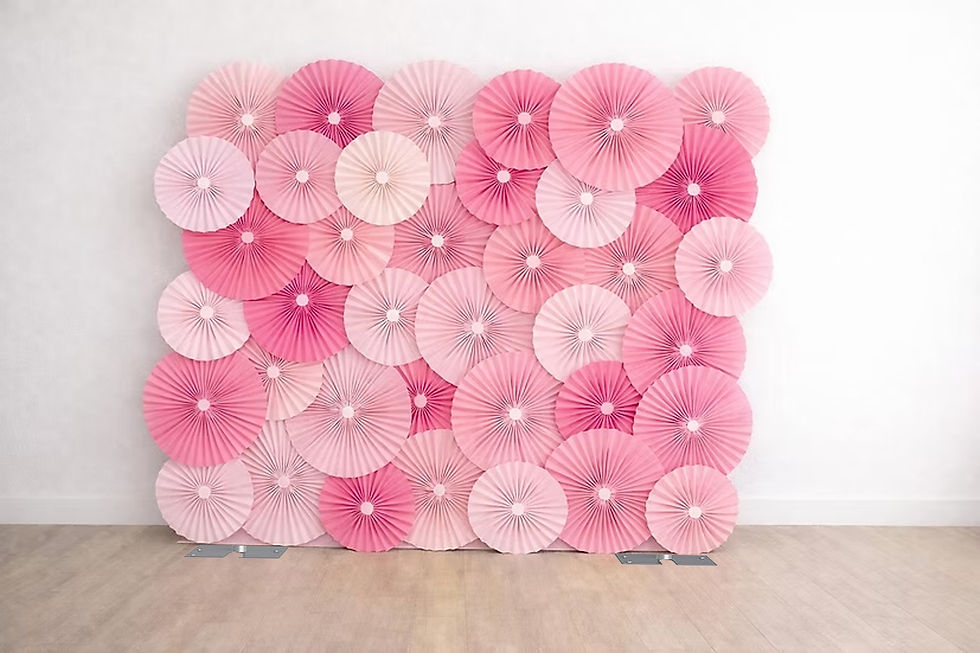 Thumbnail: Baby Girl Photo Backdrop