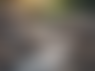 Expert Trauma Healing Techniques for Emotional Recovery