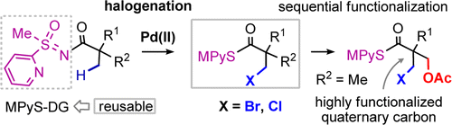halogenation.gif