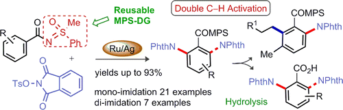 ol-2015-00570z-diimidation.gif