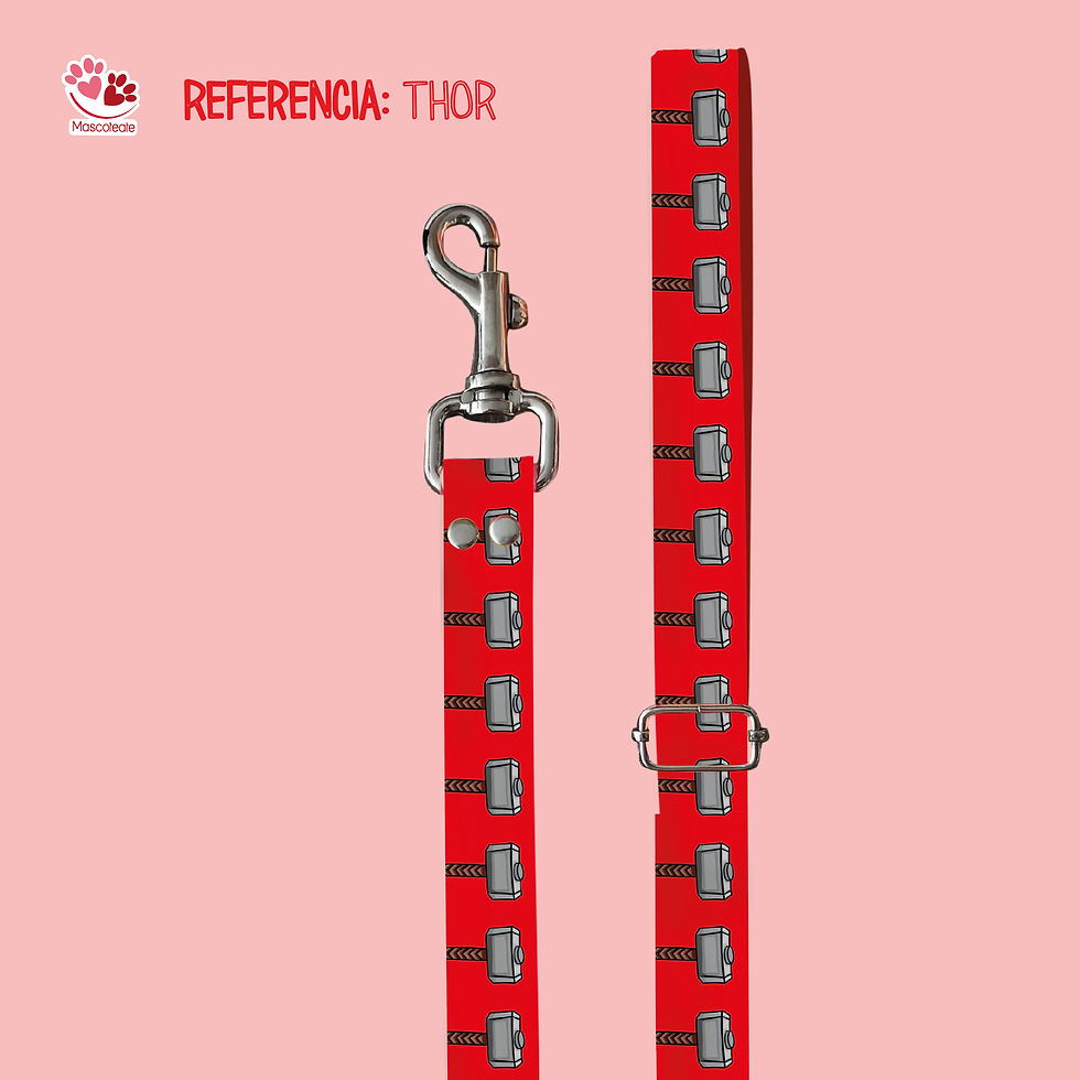 Correa paseadora/Trailla Thor 🔨
