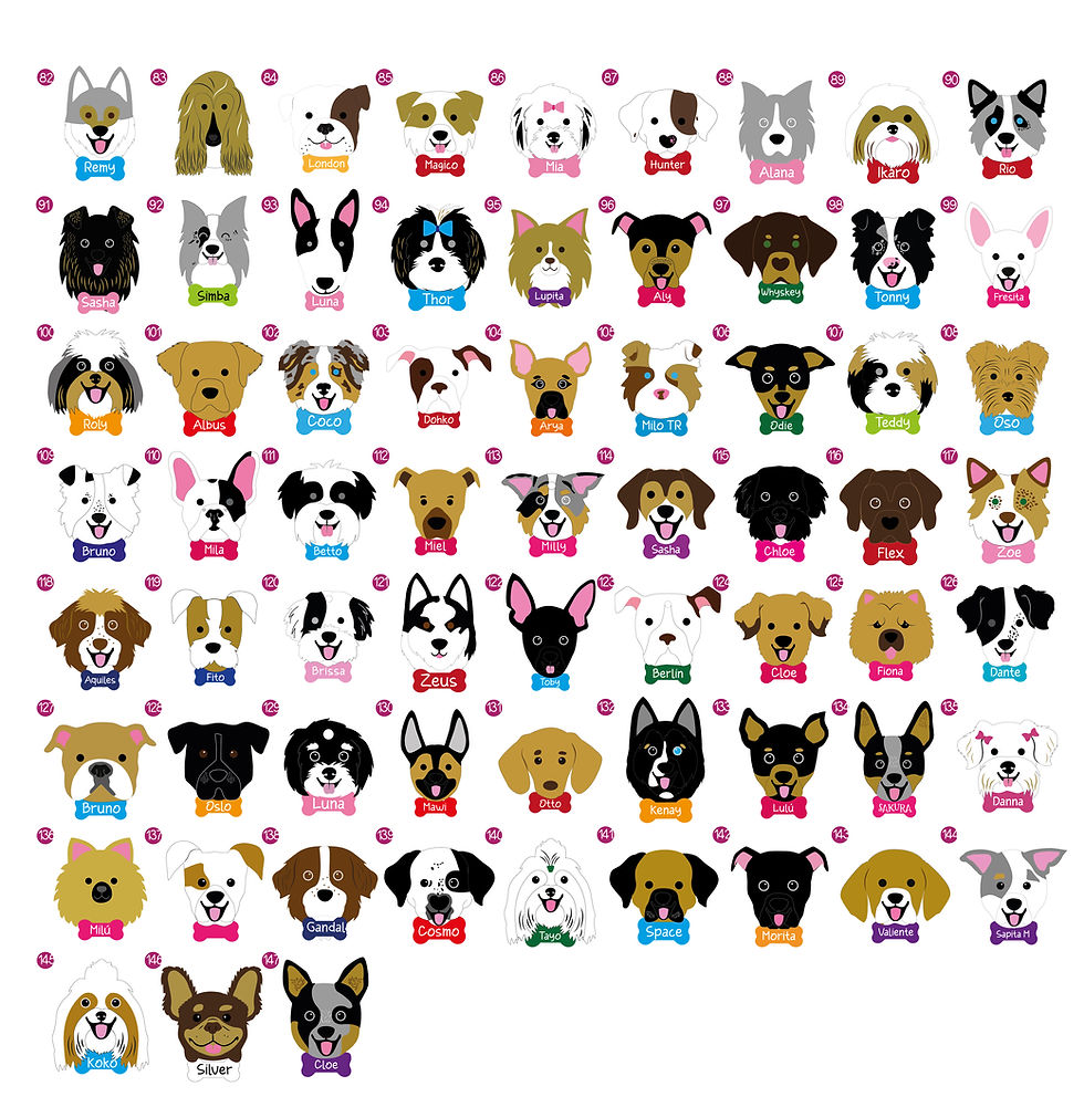 Miniatura: Plaquitas de identificación