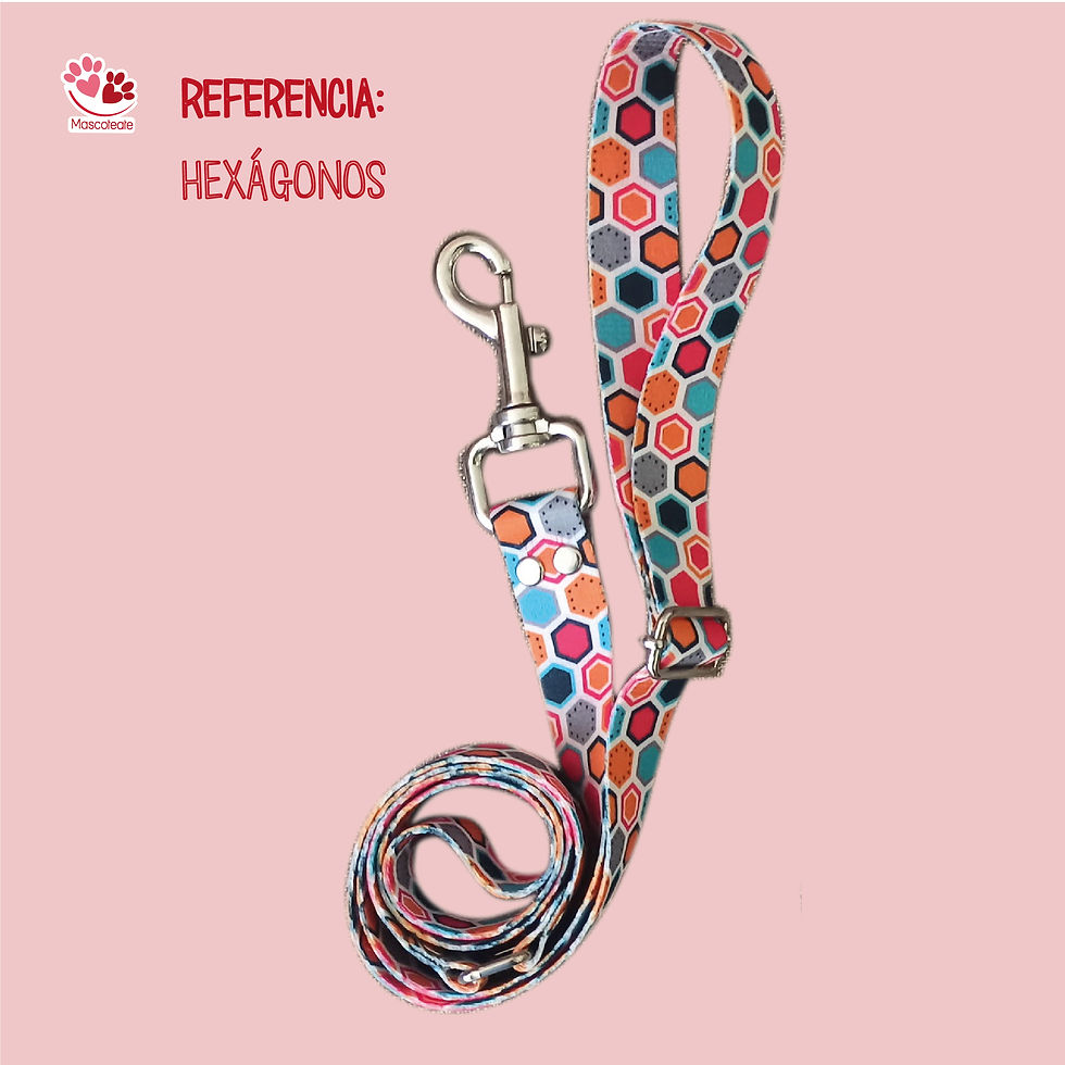 Correa paseadora/Trailla Hexagonos 🔶
