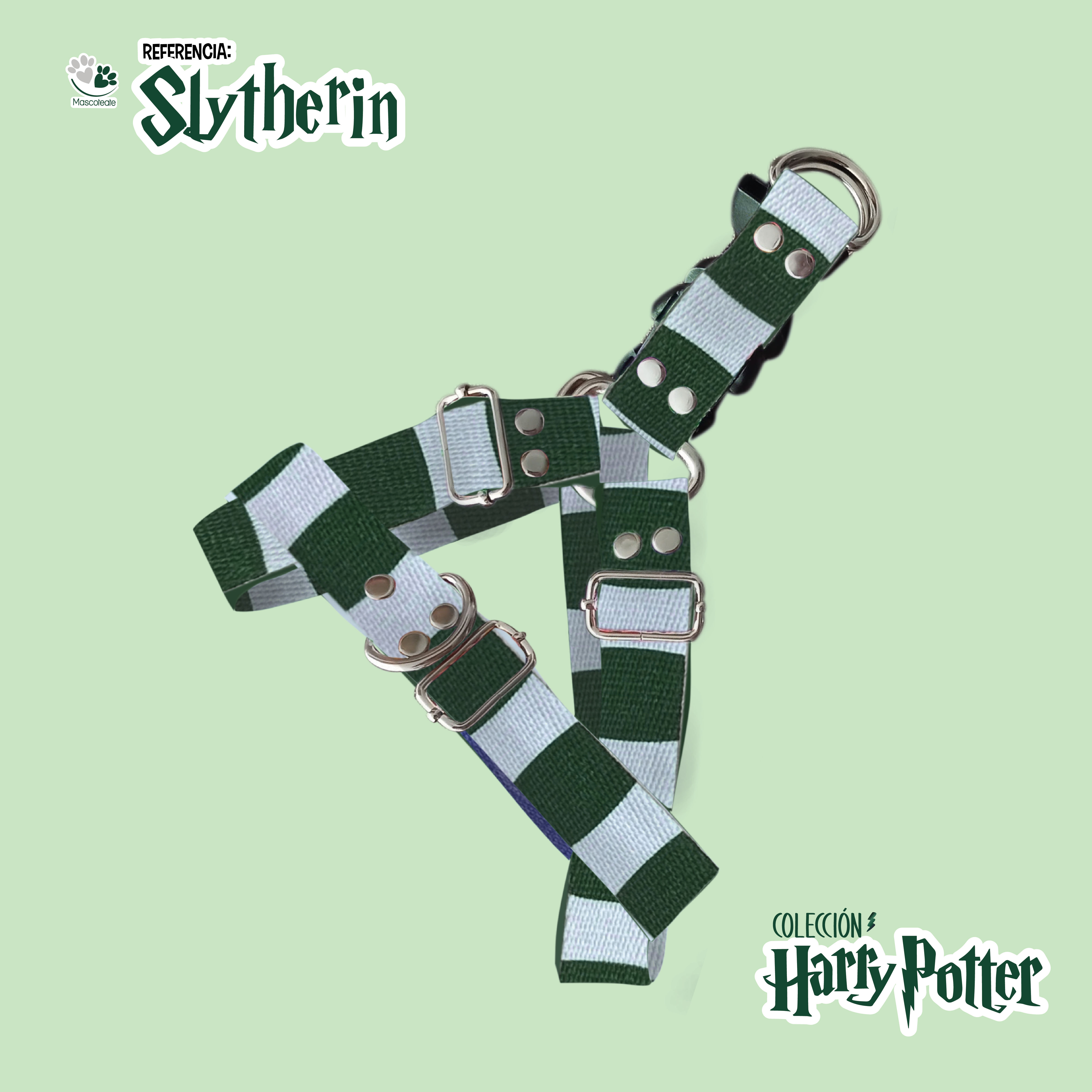 Arnes Slytherin 🪄⚡