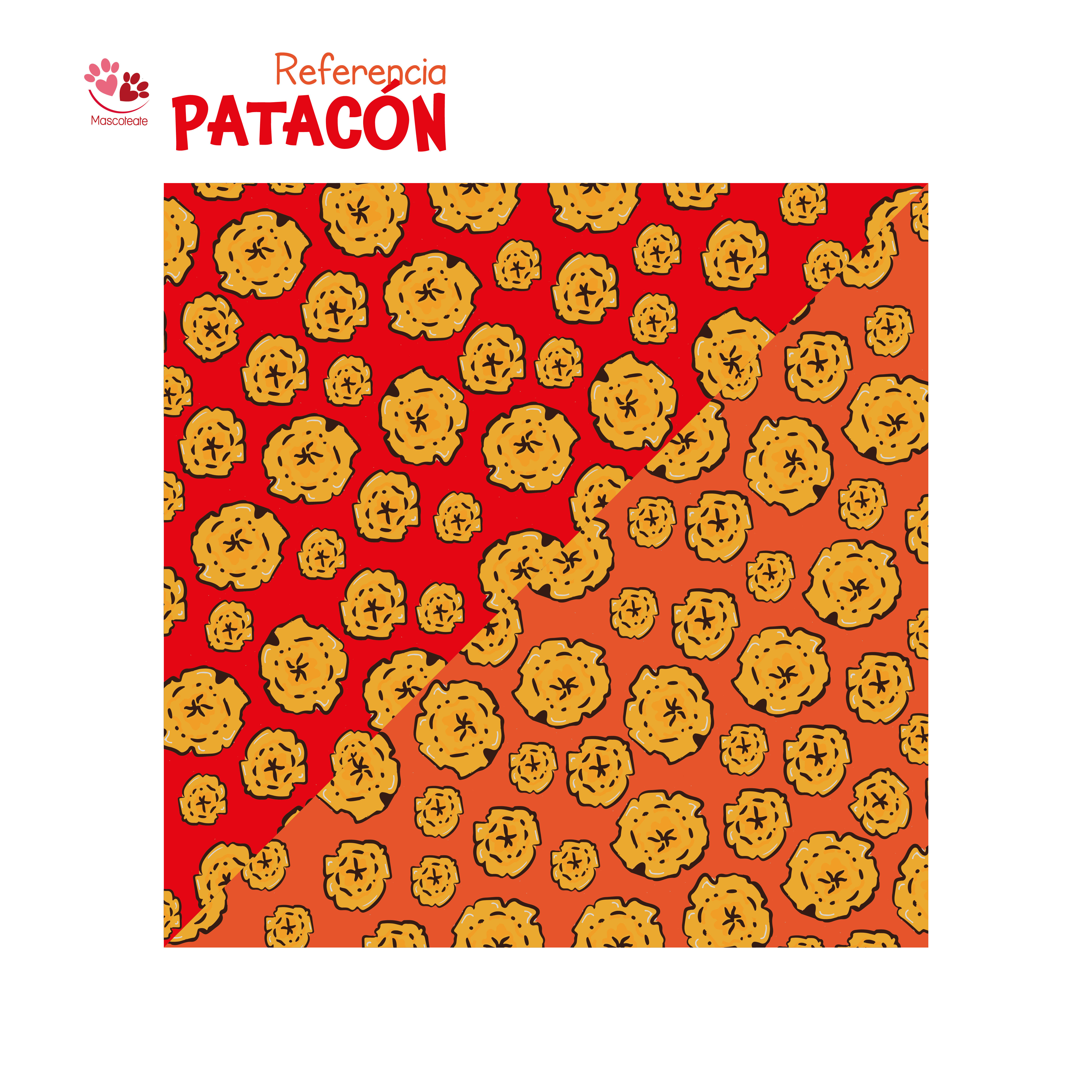 Diseño: Patacón 🍌