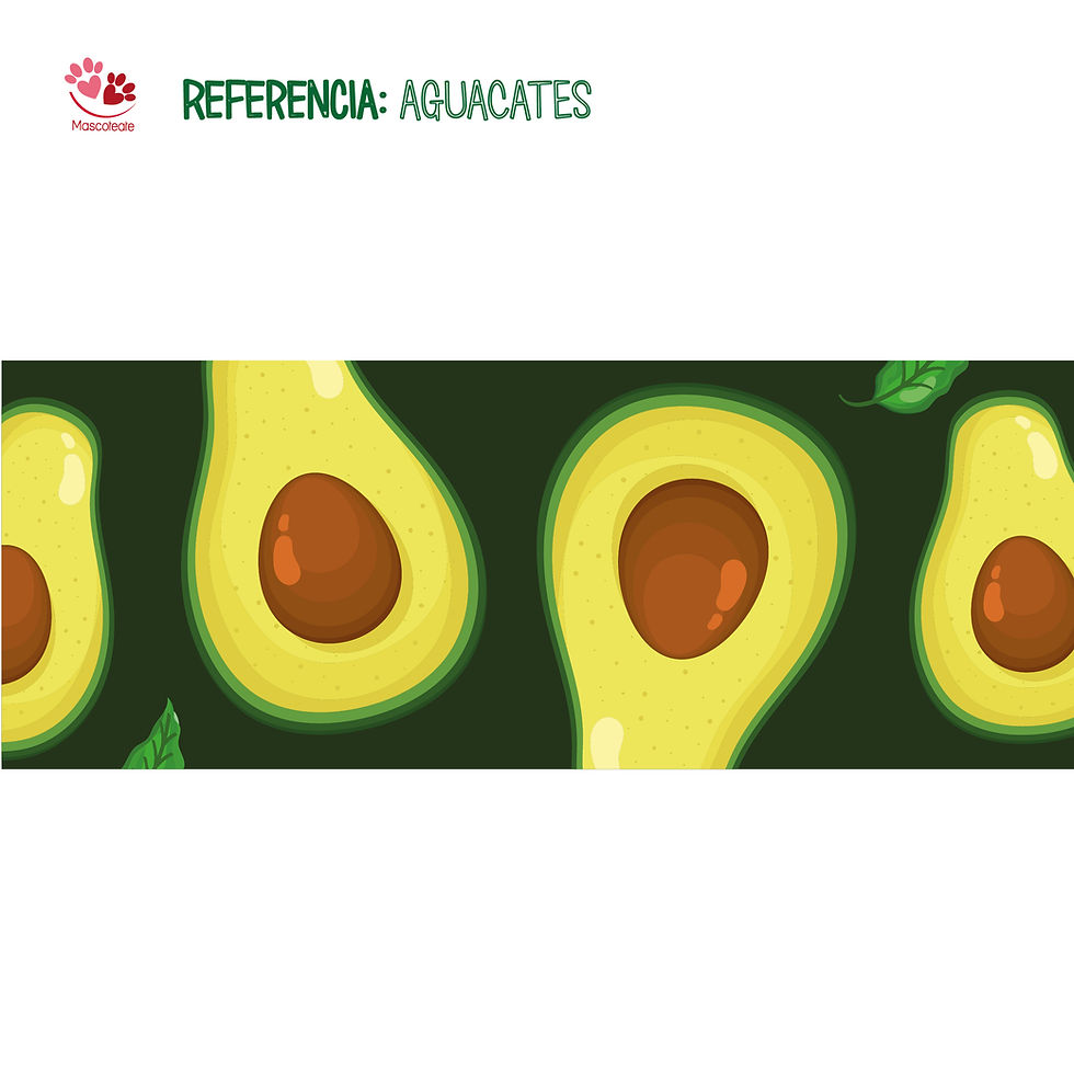 Miniatura: Diseño: Aguacates 🥑