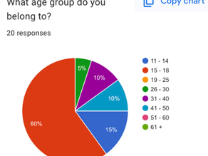 Target Audience Questionnaire
