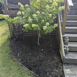 Garden Landscaping Transformation