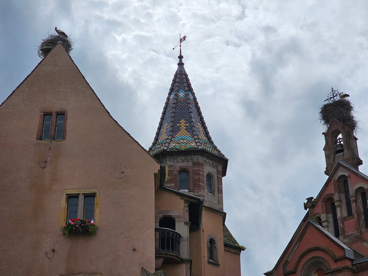 Leylekler ve Eguisheim