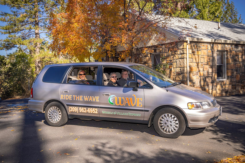 Three people are riding in a mini van known as the Mini WAVE