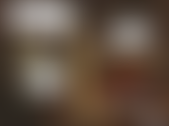 Preciosismo: virtude literária, vício dissertativo