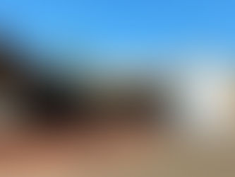 Thủy cung New England có gì đặc sắc? Những trải nghiệm không thể bỏ lỡ