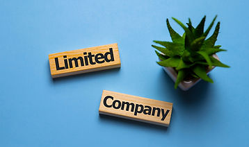 limited_companies._minskdesign.jpg