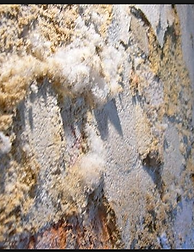 Image in 13 slide of Breathable vs Non-Breathable Coatings and Sealants.png