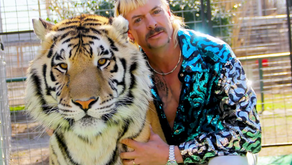 Tiger King and the psychology of cute