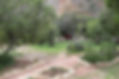 park.JPG