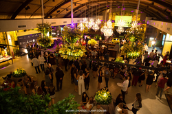 #osMelhoresEventos é a Lamp que faz.