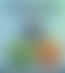 Female Primary Care in Georgetown, TX: Compassionate, Physician-Led Wellness at Wellness Bay