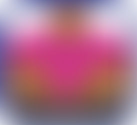 Employment Coach Case Study