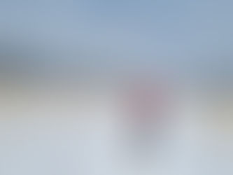 SUNDAY STORIES | LEADERSHIP INSPIRED BY PEATY 🐶🥰