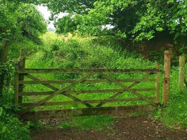 SUNDAY STORIES | GATES ALONG THE JOURNEY